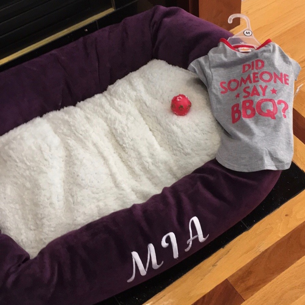 Dog T-shirt